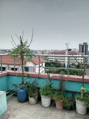Mini Flat in সিঙ্গেল ম্যান দের, Mirpur for Rent