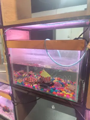 Beautiful 15x9" Clear Glass Aquarium With LED Light Full Setup