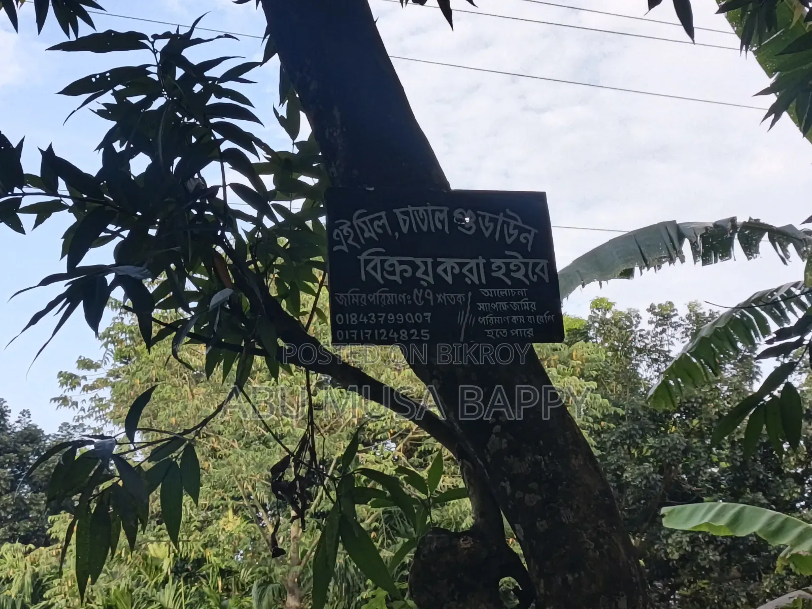 ৬০ শতক জায়গা বিক্রি করা হবে