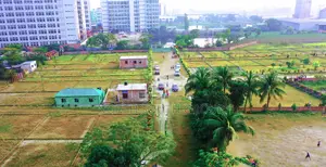 ৩ কাঠা প্লট ৩০০ ফিট রোড সংলগ্ন—স্বল্পমূল্যে, সহজ কিস্তিতে!