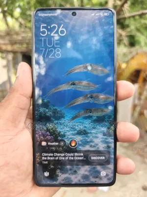শাওমি রেডমি নোট ১২ প্রো ৫জি ২৫৬ জিবি ব্ল্যাক
