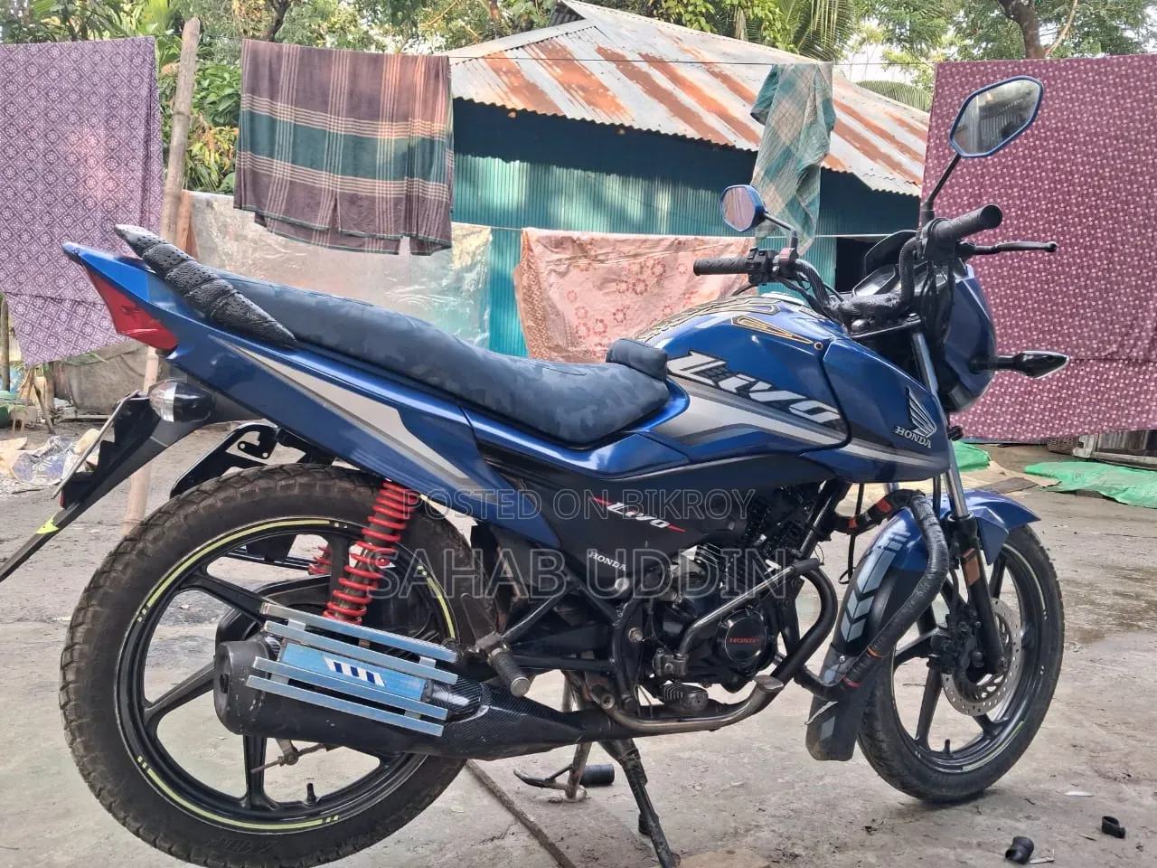 Honda Livo 2019 Blue