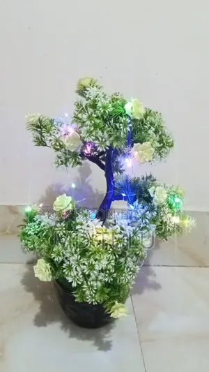 Attractive Flower Tub With Lighting