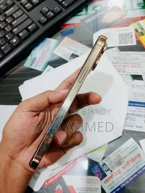 Apple iPhone 13 Pro Max 256 GB Gold