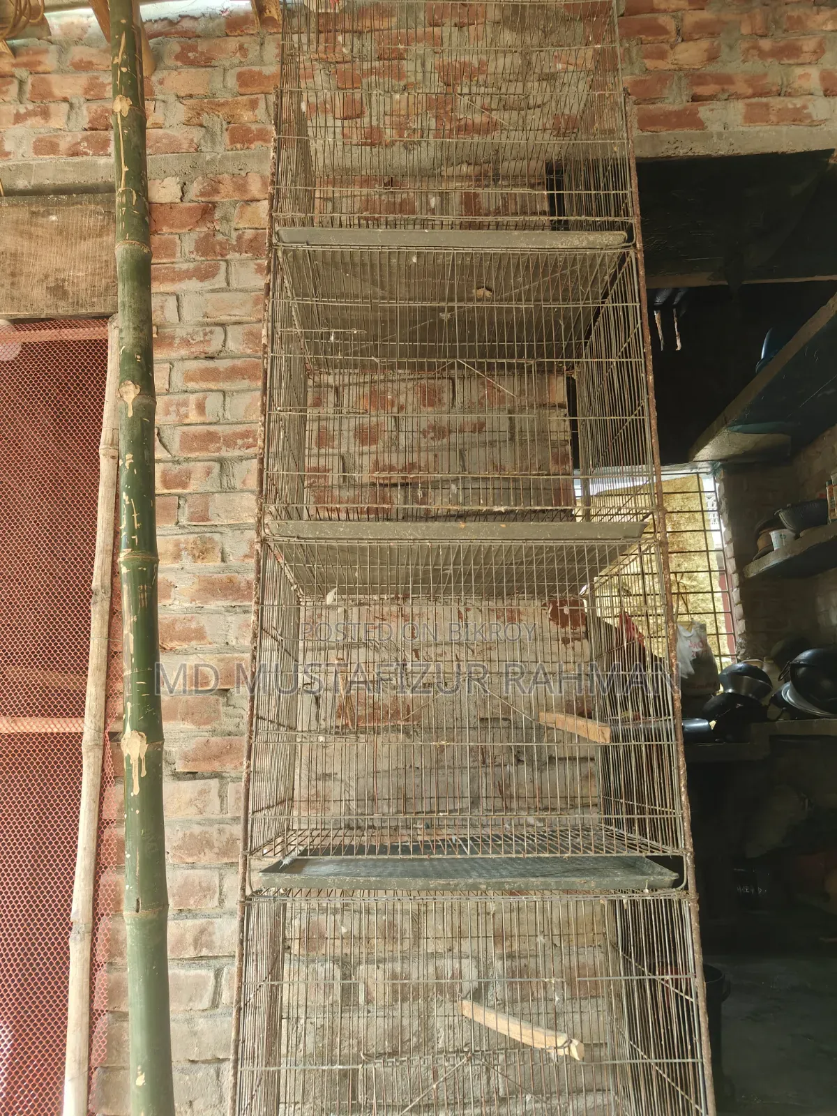 পাখির খাঁচা