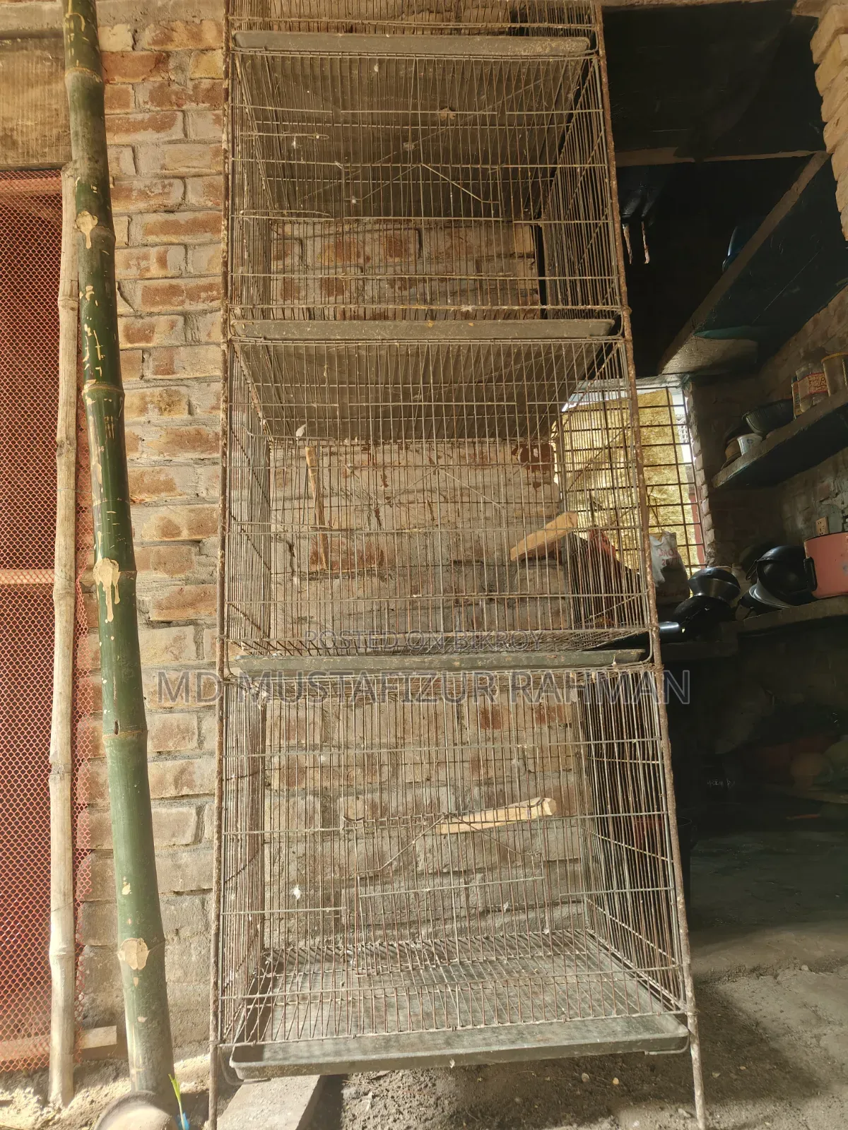 পাখির খাঁচা