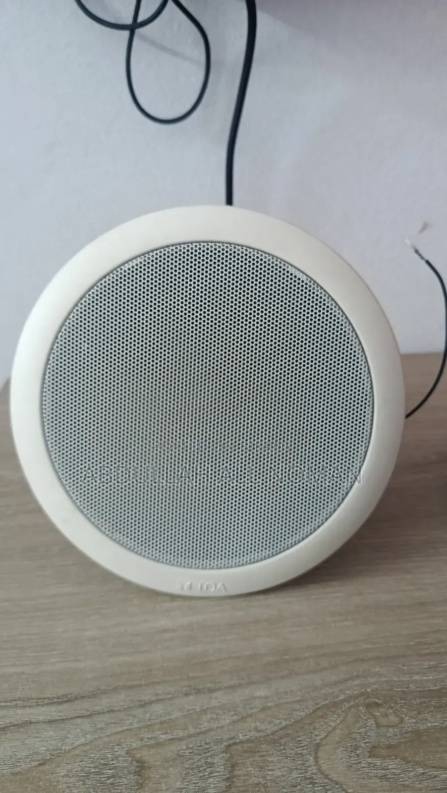 Ceiling Mount Speaker