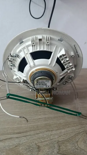 Ceiling Mount Speaker