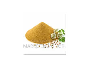 Make Every Dish More Delicious with the Pure Aroma of Coriander 250g