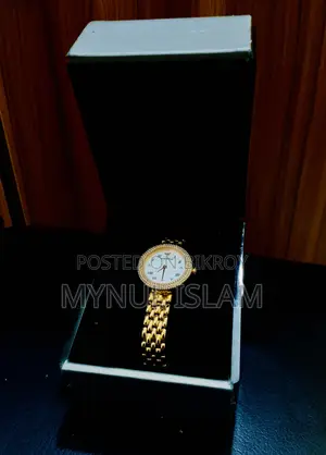 Emporio Armani (Ar11355) Women's Watch 100% Authentic Watch for Sell