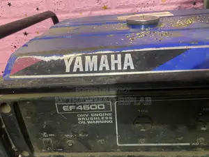 Generator 4600 Watt
