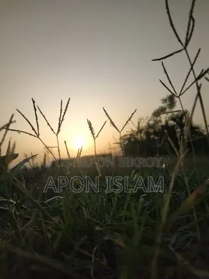 জরুরী নিয়োগ কম্পিউটার সার্ভিস টেকনিশিয়ান