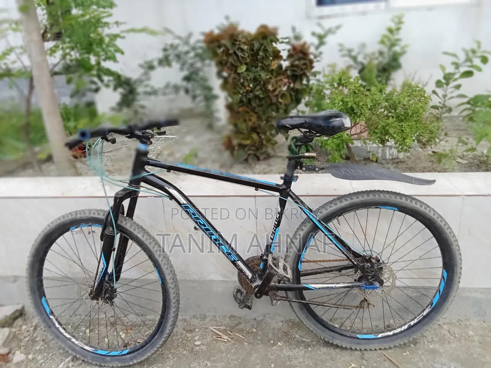 Prince Gear Bicycle