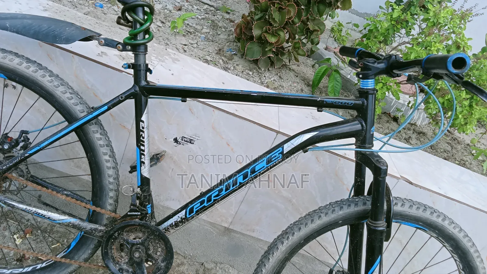 Prince Gear Bicycle