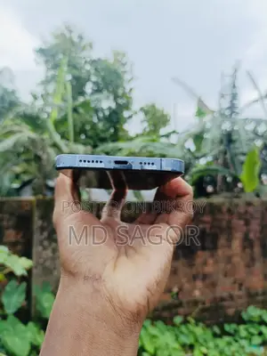Apple iPhone 13 Pro Max 256 GB Blue