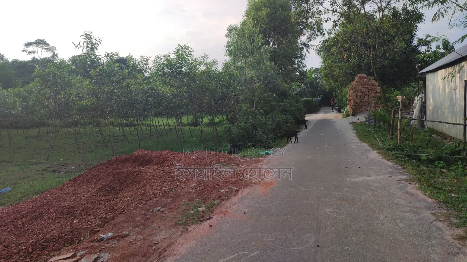 Land for sale 12 katha due to urgent need of money