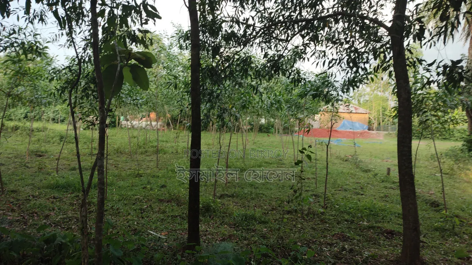 Land for sale 12 katha due to urgent need of money