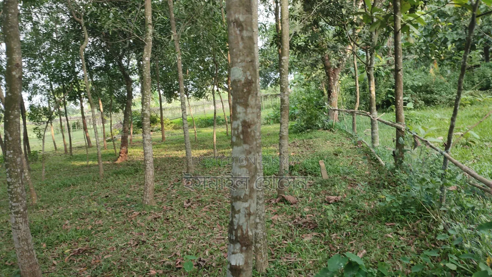 Land for sale 12 katha due to urgent need of money
