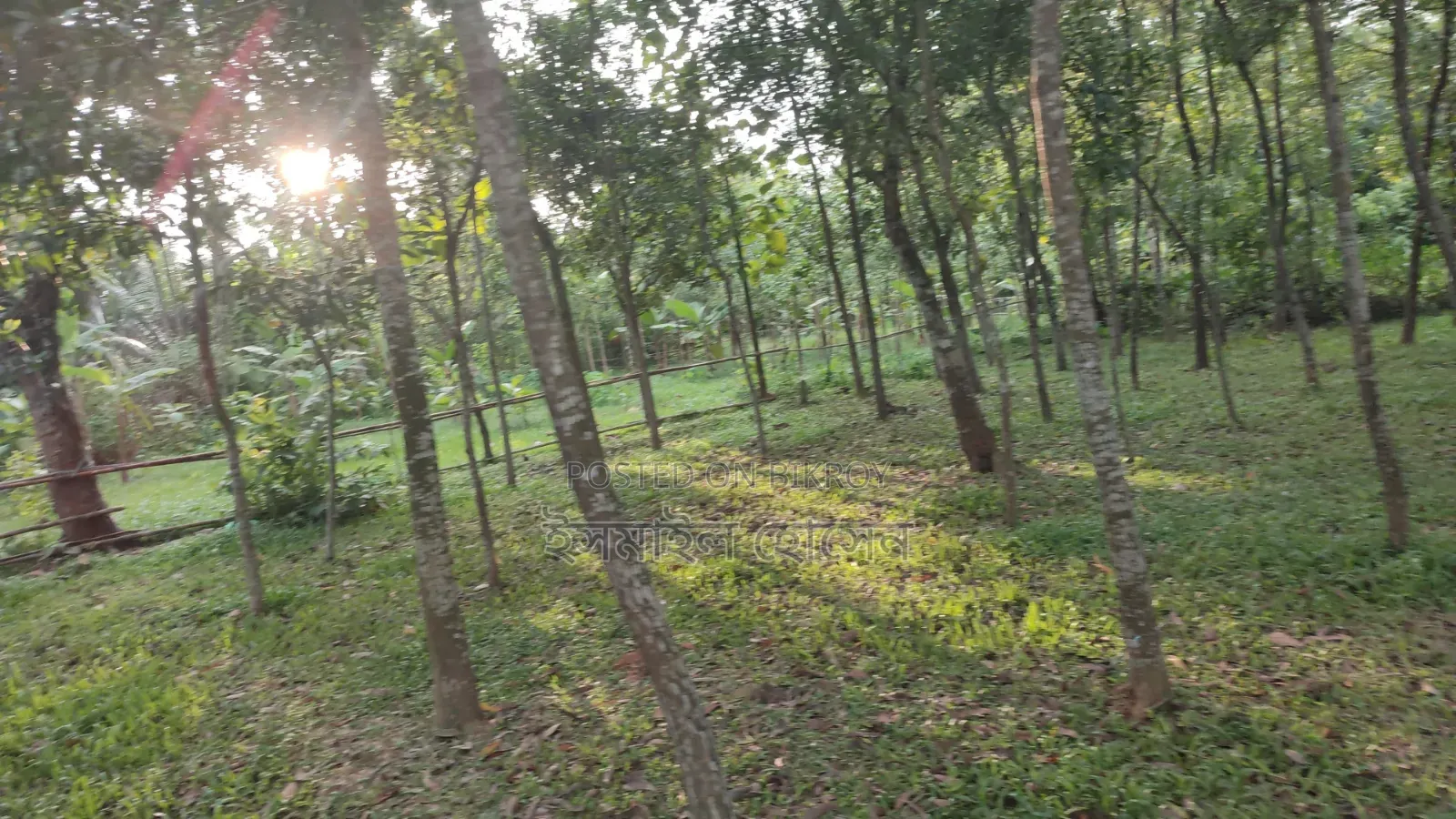 Land for sale 12 katha due to urgent need of money