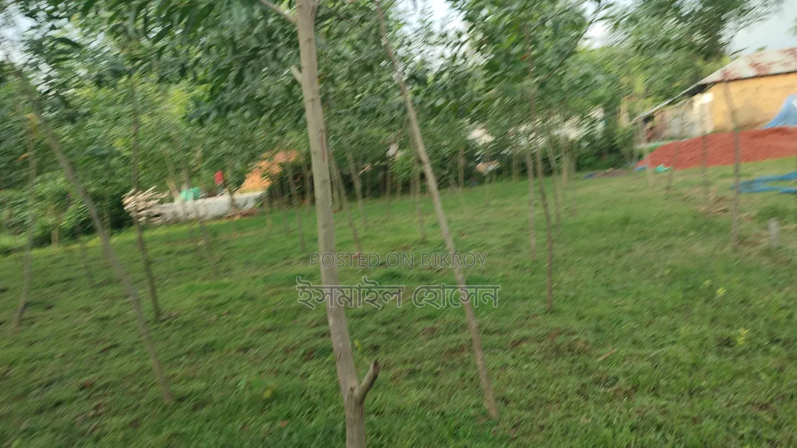 Land for sale 12 katha due to urgent need of money