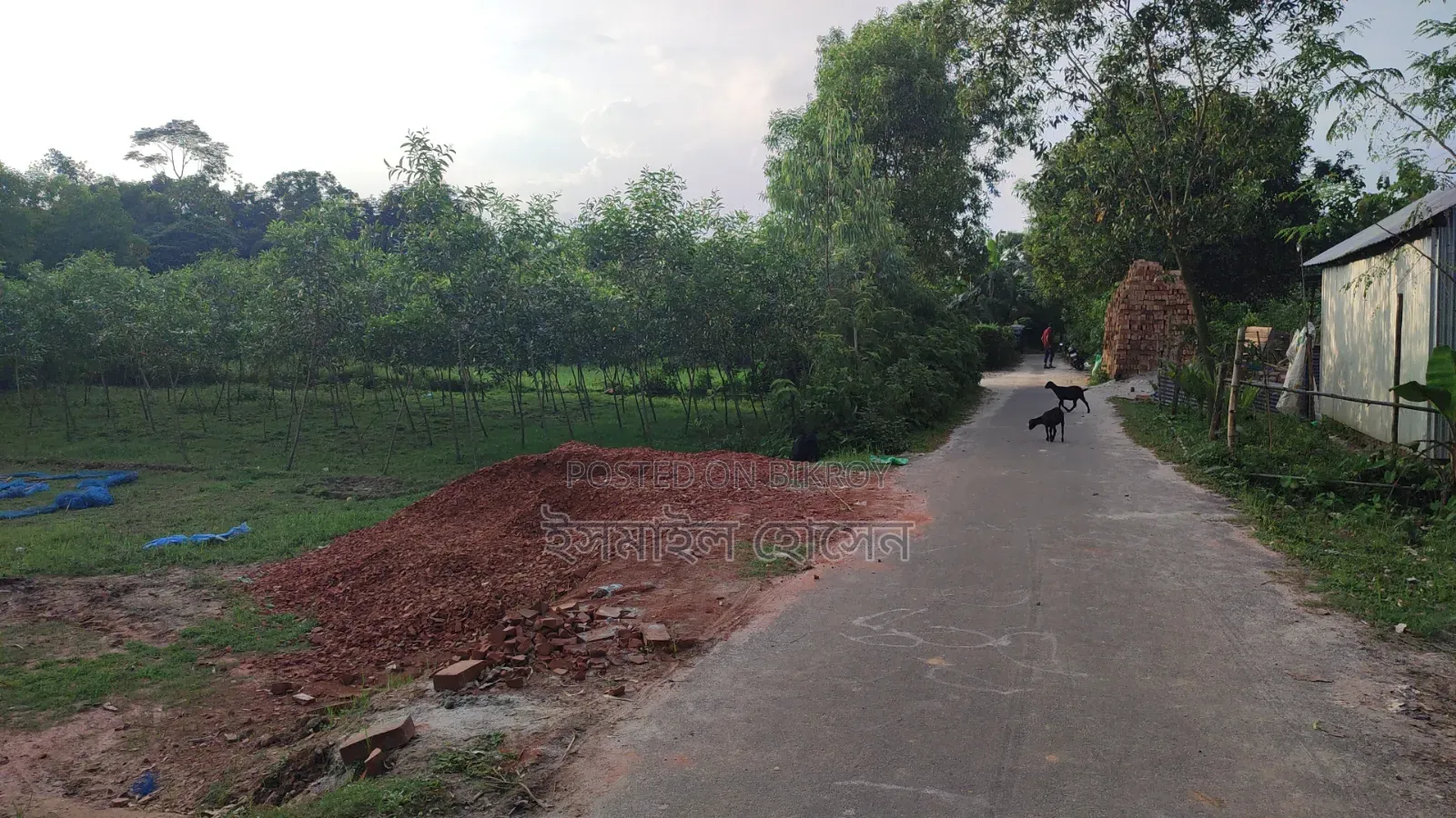 Land for sale 12 katha due to urgent need of money
