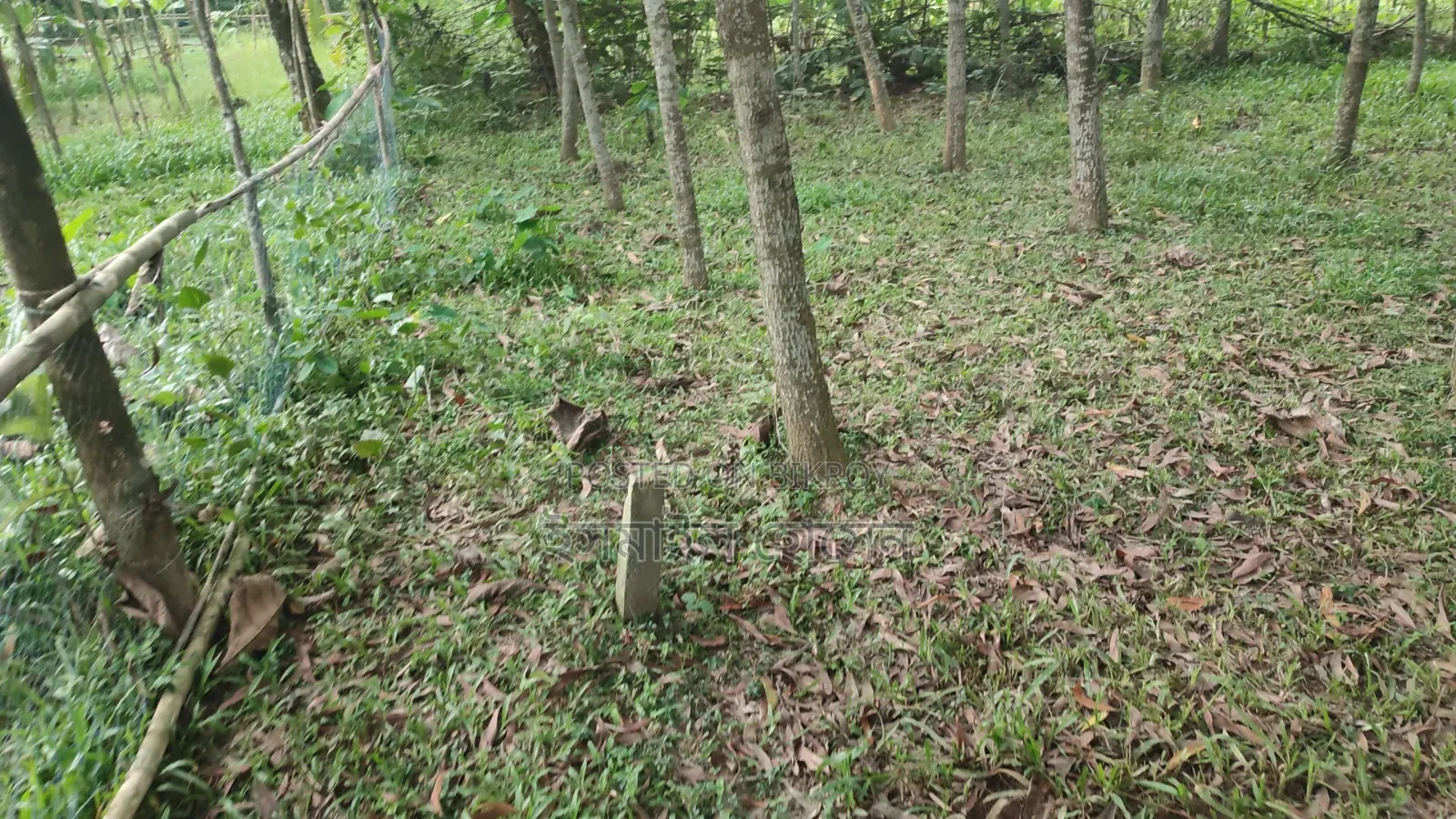 Land for sale 12 katha due to urgent need of money