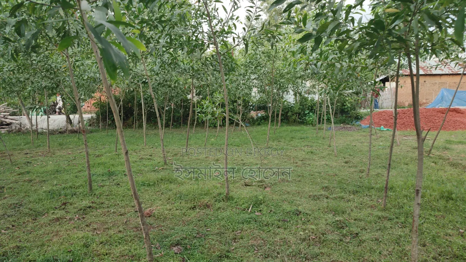 Land for sale 12 katha due to urgent need of money