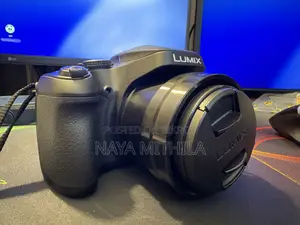 প্যানাসনিক লুমিক্স এফজেড ৮০ডি