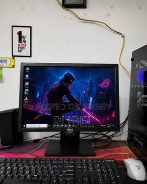 Dell 18.5 Inch LED Monitor