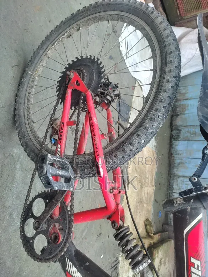 Beach 2024 Red