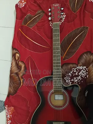 টিজিএম ব্র্যান্ড অরিজিনাল গিটার