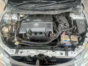 Toyota Axio 2009 Silver
