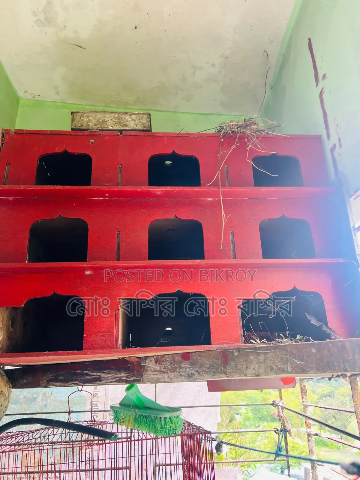 কবুতরের ঘর