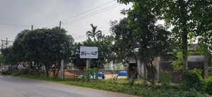 প্রাইম লোকেশনে মেইন রাস্তার পাশে প্লট আকারে জমি বিক্রয় করা হবে
