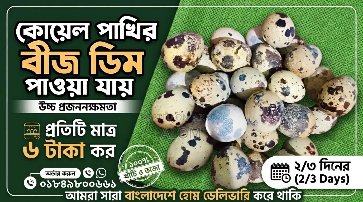 কুয়েল এর বিজডিম প্রতি পিছ ৬ টাকা ৭টা নিলে ৩৩ টাকা