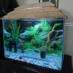 2 Feet Aquarium