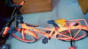 বাই সাইকেল