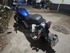 কিওয়ে কে-লাইট ২০২৪ ব্লু