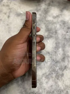 অ্যাপল আইফোন ১৩ প্রো ১২৮ জিবি রোজ গোল্ড