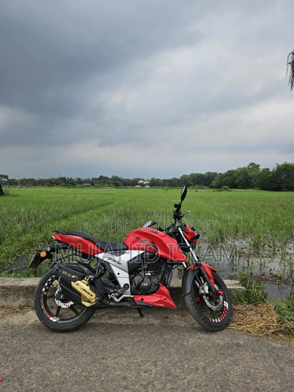 টিভিএস আপাচি আরটিআর ১৬০ 4V ২০১৯ রেড