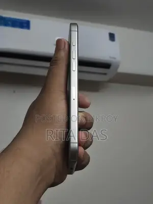 অ্যাপল আইফোন ১৫ প্রো ম্যাক্স ২৫৬ জিবি