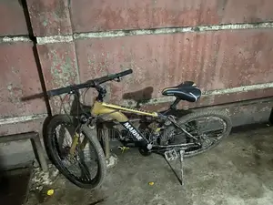 মেরিন সাইকেল