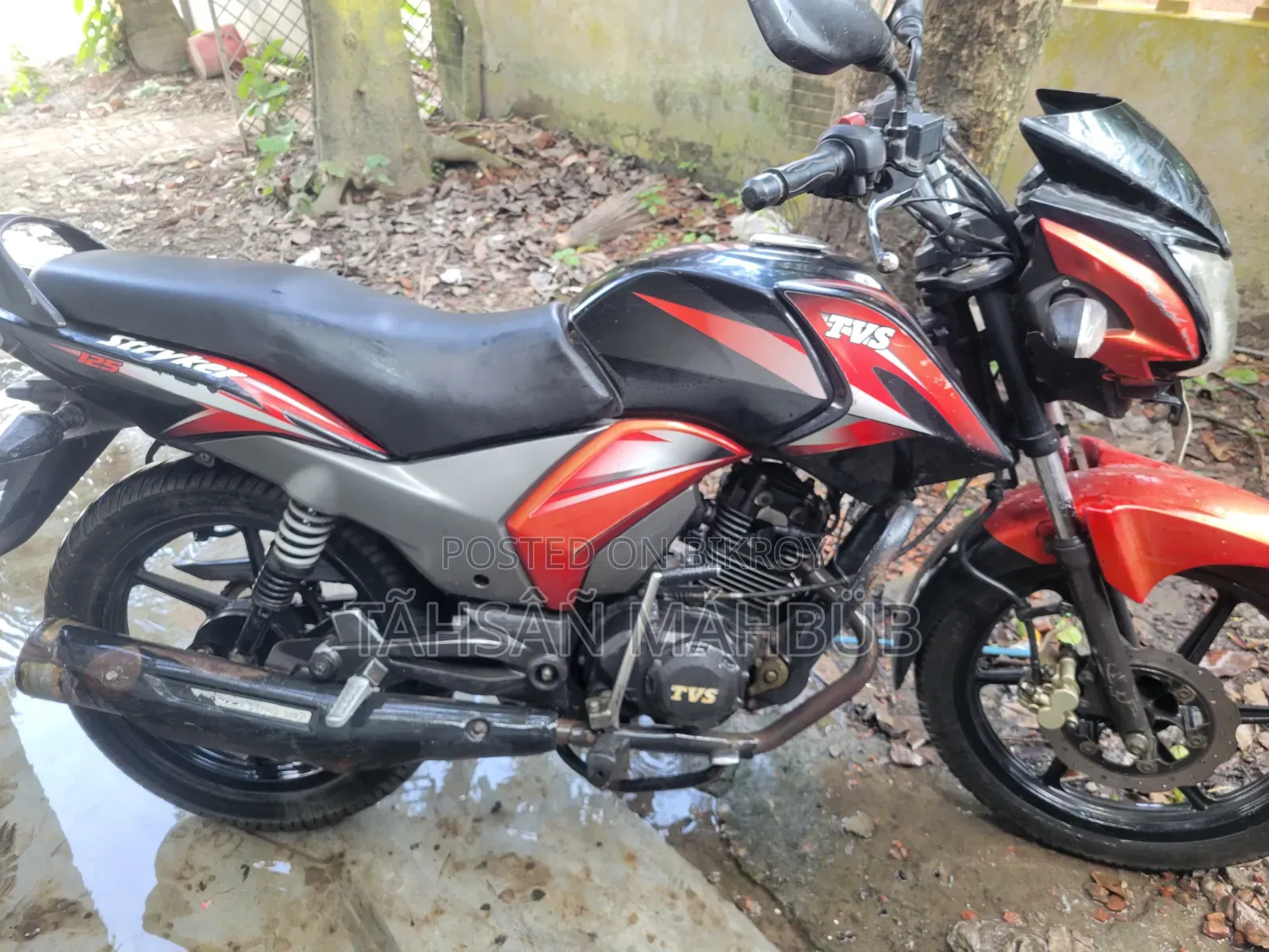 TVS 2018 Red