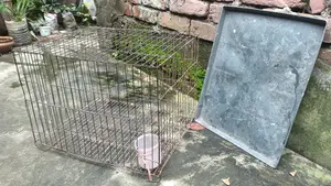 Bird Cage for Sale