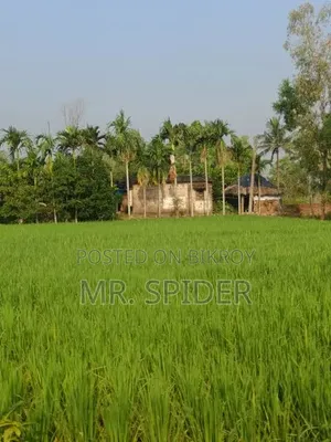 টার্মিনাল থেকে একটু দূরে নিরিবিলি পরিবেশে ৩ শতক জমি বিক্রি