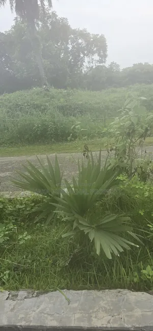 রাজউক পূর্বাচল সেক্টর ৮ এফেক্টেড ক্যাটাগরি ৩ কাঠা প্লট বিক্রি