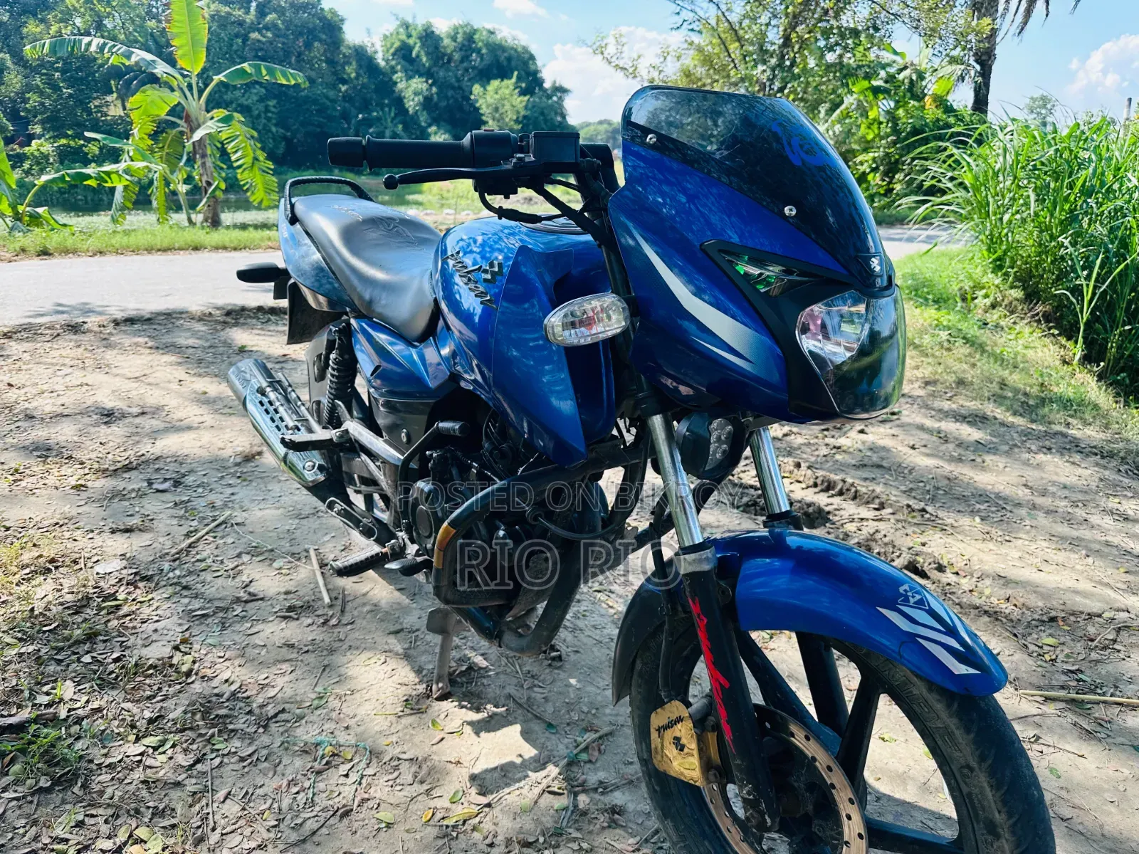 Bajaj Pulsar 150 2011 Blue