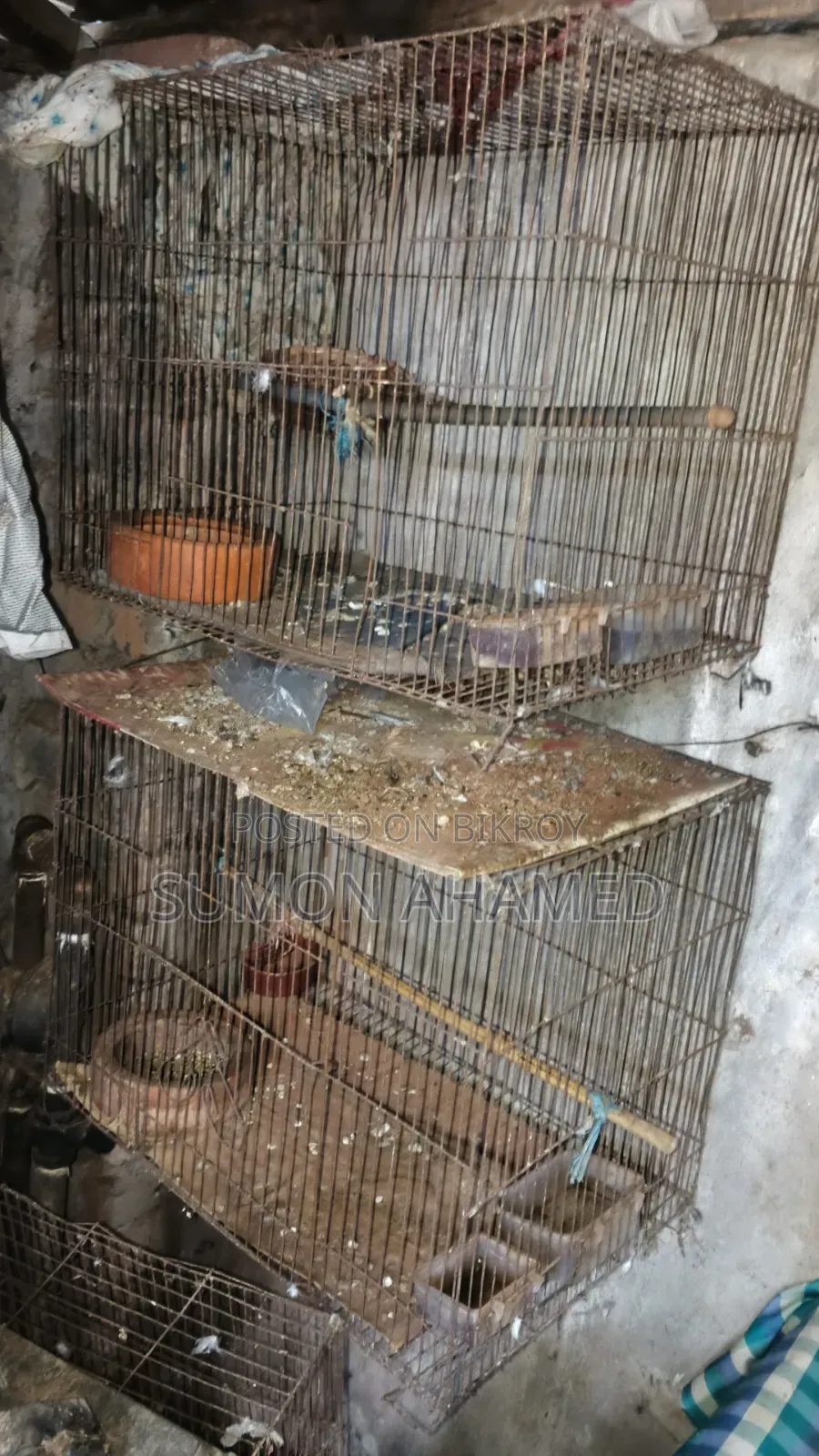 Cage for Sale