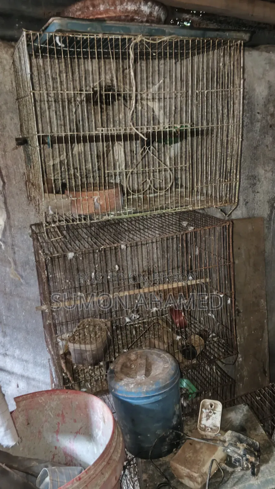 Cage for Sale