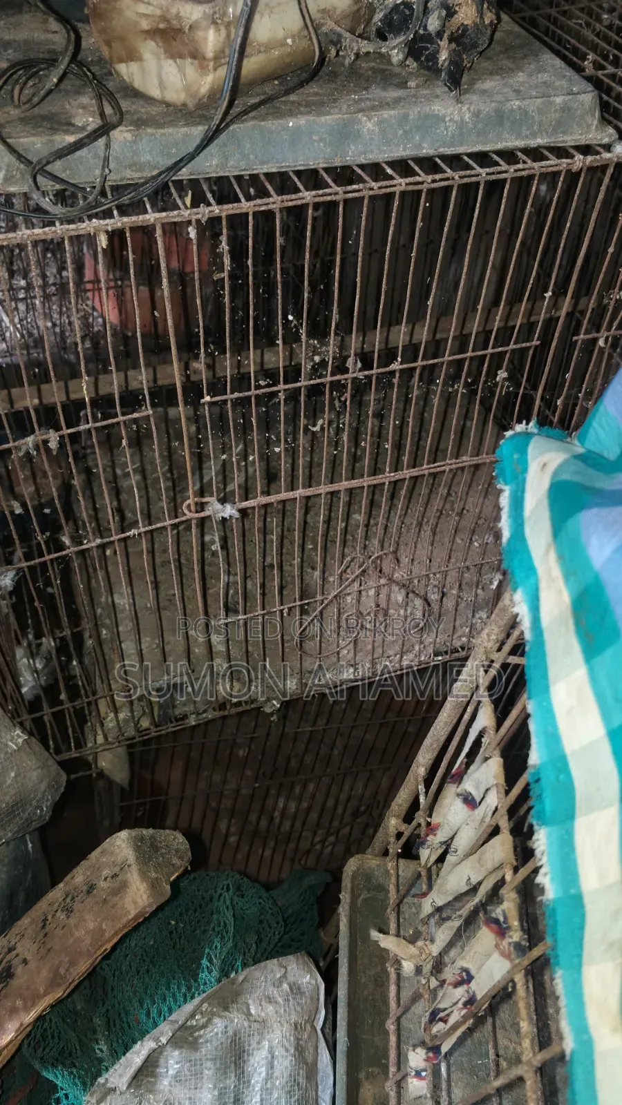 Cage for Sale
